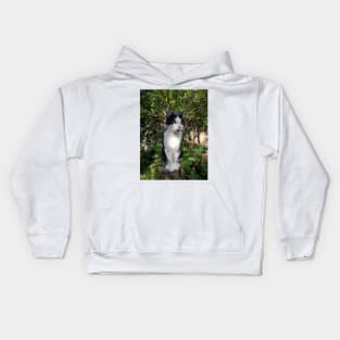 Robby the cat Kids Hoodie